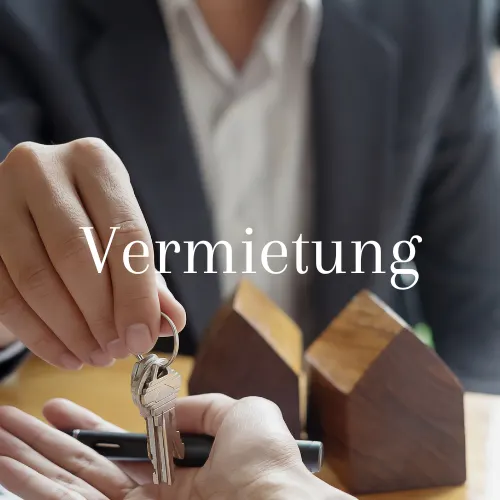 Junker Immobilien – Detail (Originalaufnahme von der bestehenden Website)