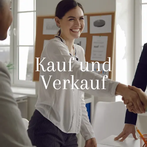 Junker Immobilien – Impression (Originalaufnahme von der bestehenden Website)